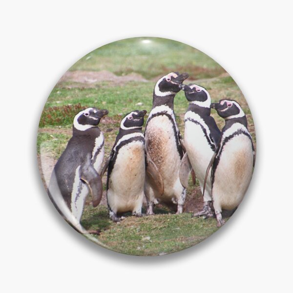 Item preview, Magellanic Penguins Near Their Nesting Burrows designed and sold by Carole-Anne.