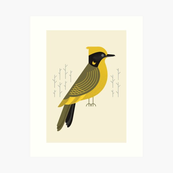 Item preview, Helmeted Honeyeater, Bird of Australia designed and sold by printedsparrow.