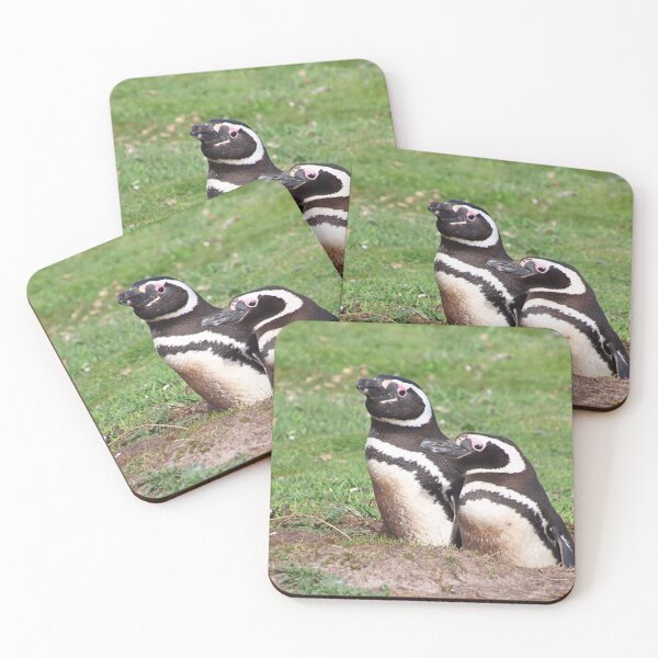 Item preview, Magellanic Penguin Pair in Their Nesting Burrow designed and sold by Carole-Anne.