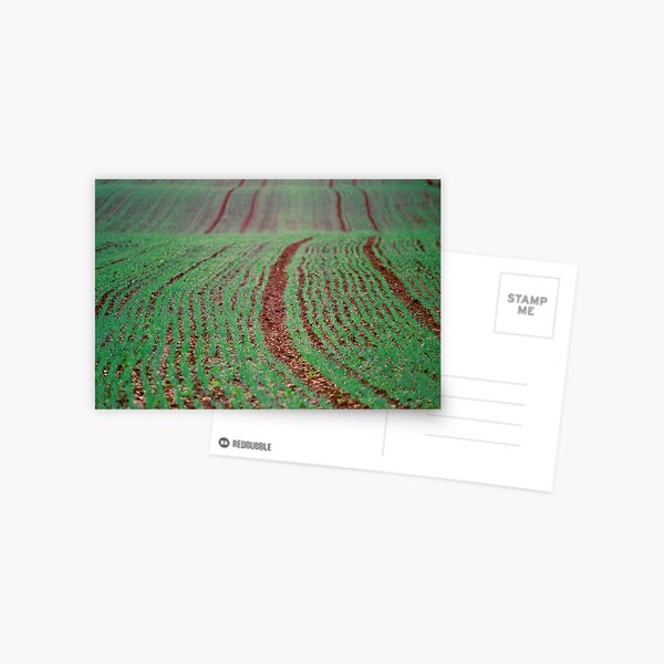 Green Field, Cheshire Postkarte