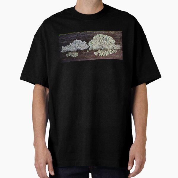 Item preview, Lichens Rising designed and sold by tasturm1.