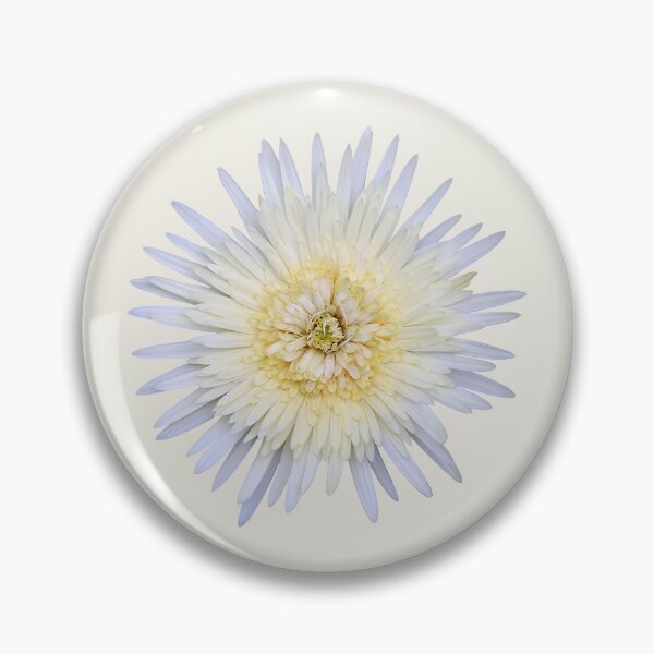 Item preview, White Gerbera on Cream designed and sold by STHogan2.