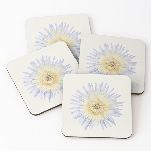 Item preview, White Gerbera on Cream designed and sold by STHogan2.