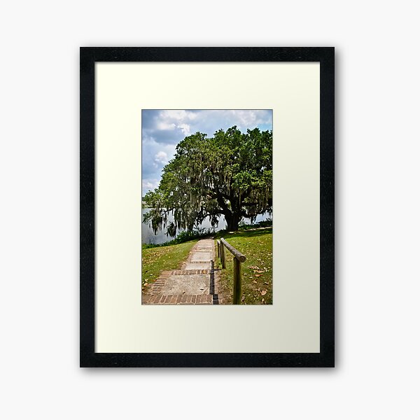 Item preview, Spanish Moss designed and sold by Gustavo Bernal.