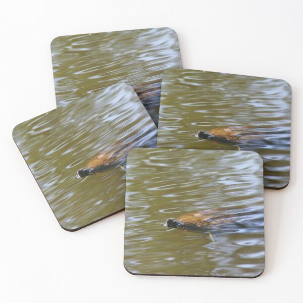 Item preview, turtle swimming at Trojan pond, near Goble, Oregon designed and sold by Dawna Morton.