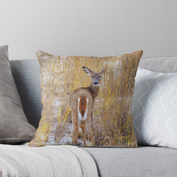 Item preview, White tail deer designed and sold by floofpictures.
