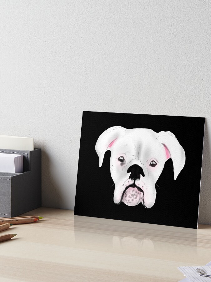 Ein Super Susser Weisser Boxerhund Hier In Den Usa Galeriedruck Von Givengracelife Redbubble