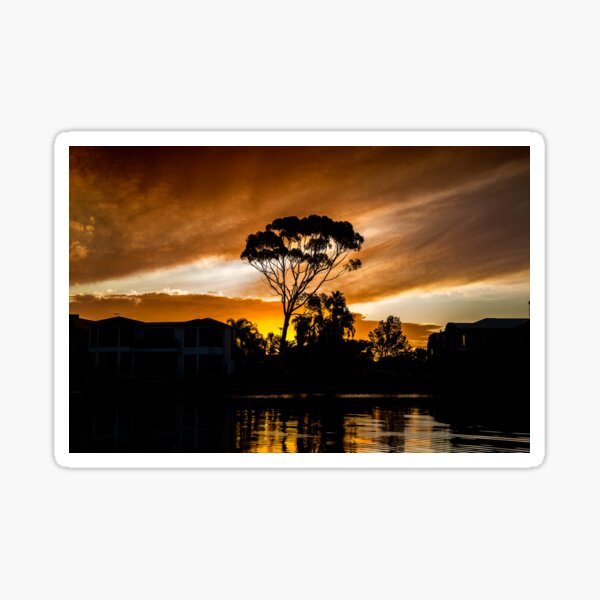 Golden Colour Sunset and gumtree with refractions in river water Sticker