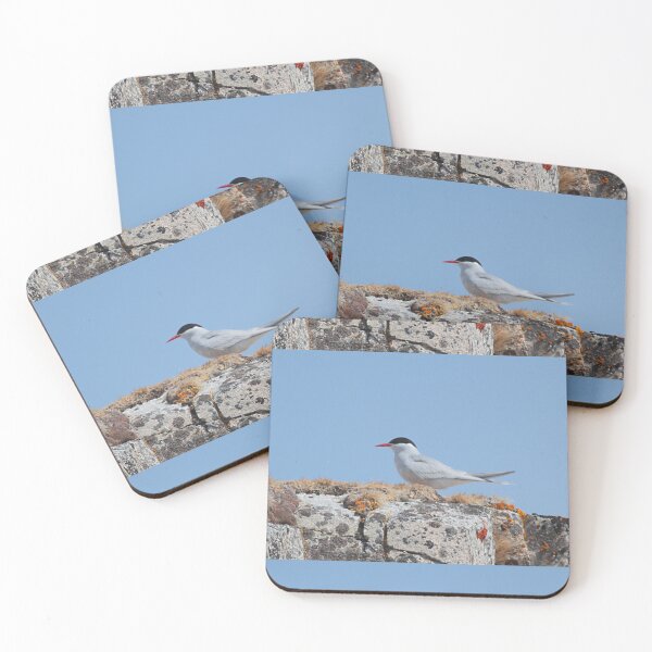 Item preview, Antarctic Tern In The Rookery designed and sold by Carole-Anne.