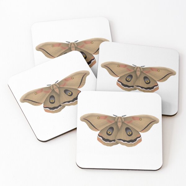 Item preview, Polyphemus Moth designed and sold by Cailee Hochrine.