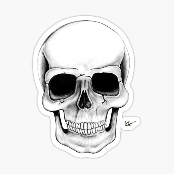Skull illustration Sticker