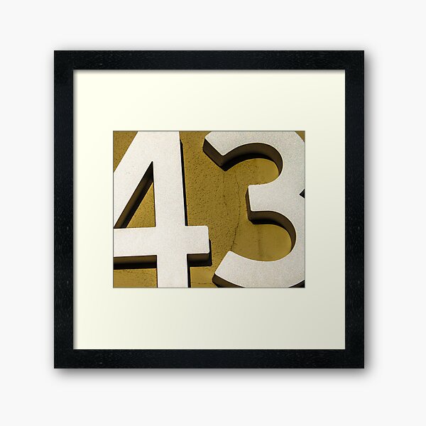 Framed Art Print