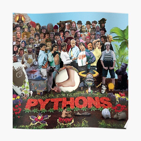 "Sergeant Python" Poster for Sale by captain-howdy | Redbubble