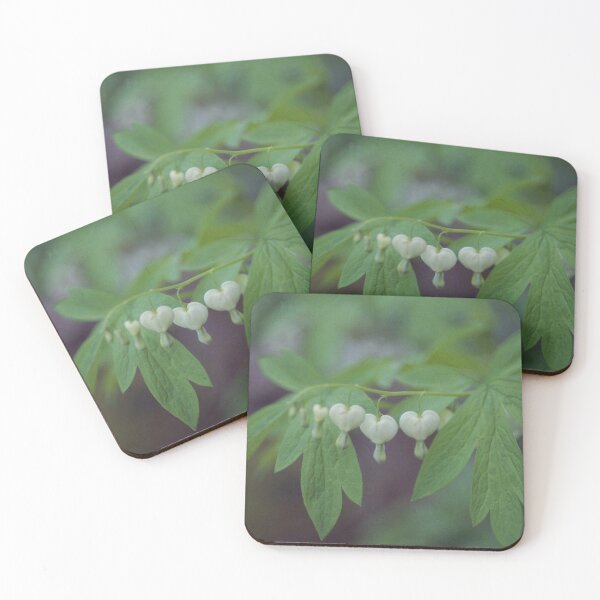 Item preview, Dicentra "spectabilis alba" designed and sold by Nerone.