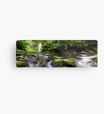 Hopetoun Falls, Otways, Great Ocean Road, Australia Metal Print