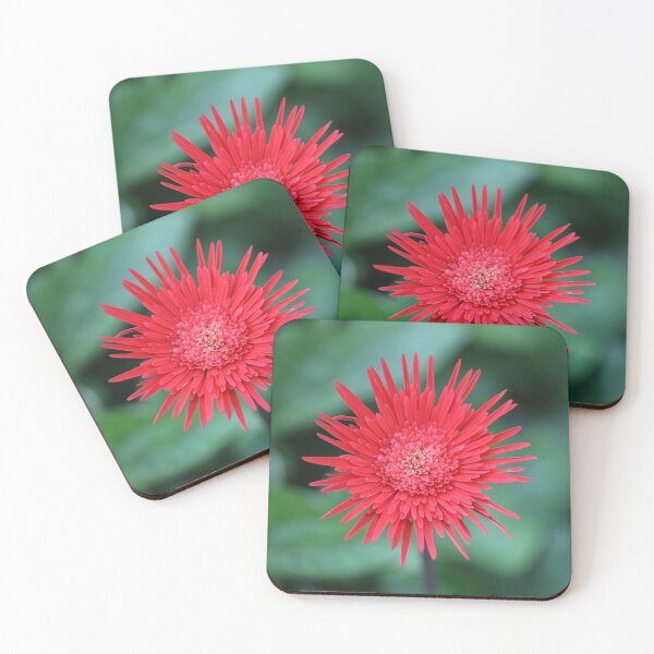 Item preview, Gerbera designed and sold by STHogan2.