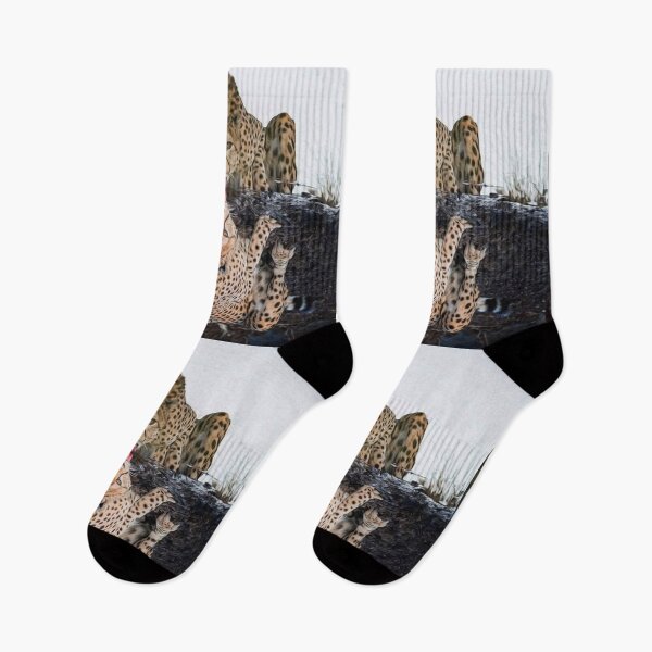 Item preview, LEOPARD AT THE WATER  designed and sold by johnnyssandart.
