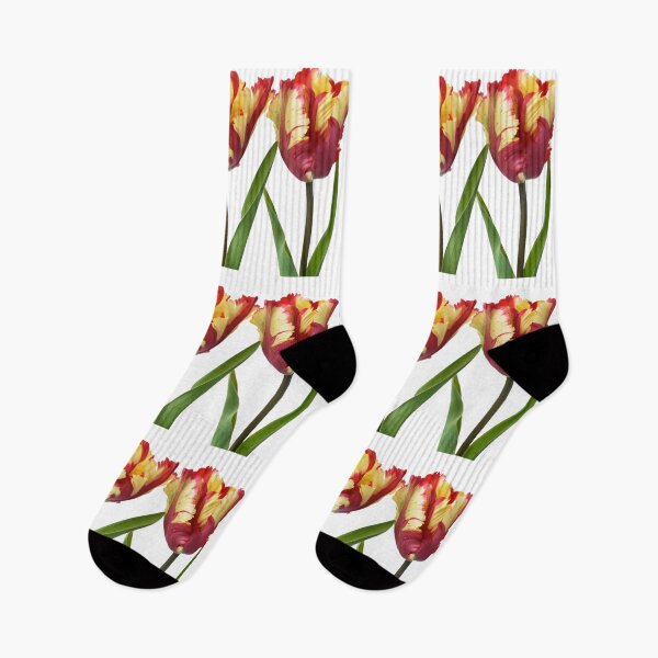Item preview, Tulipa  'Flaming Parrot'    Parrot Group  Tulip designed and sold by Chris Burrows.