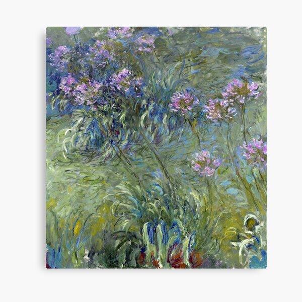 Agapanthus - Claude Monet  Canvas Print