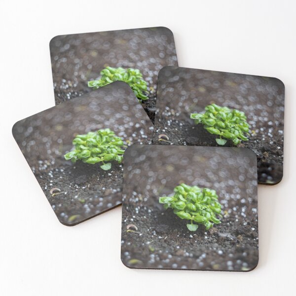 Item preview, Basil designed and sold by jivkovb.