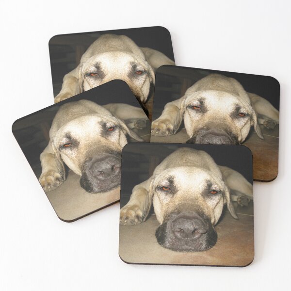Item preview, Don't wake sleeping dogs designed and sold by aura2000.