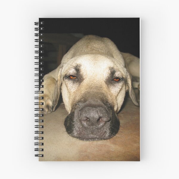 Item preview, Don't wake sleeping dogs designed and sold by aura2000.