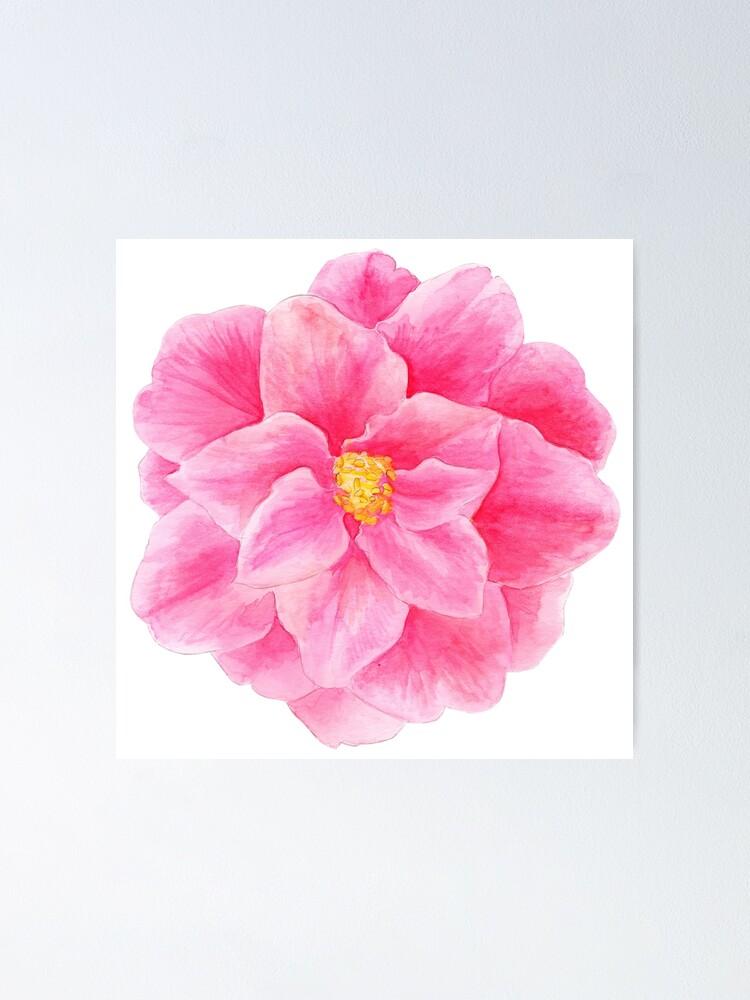 Póster «Camelia rosa flor de acuarela» de sarahtrett | Redbubble