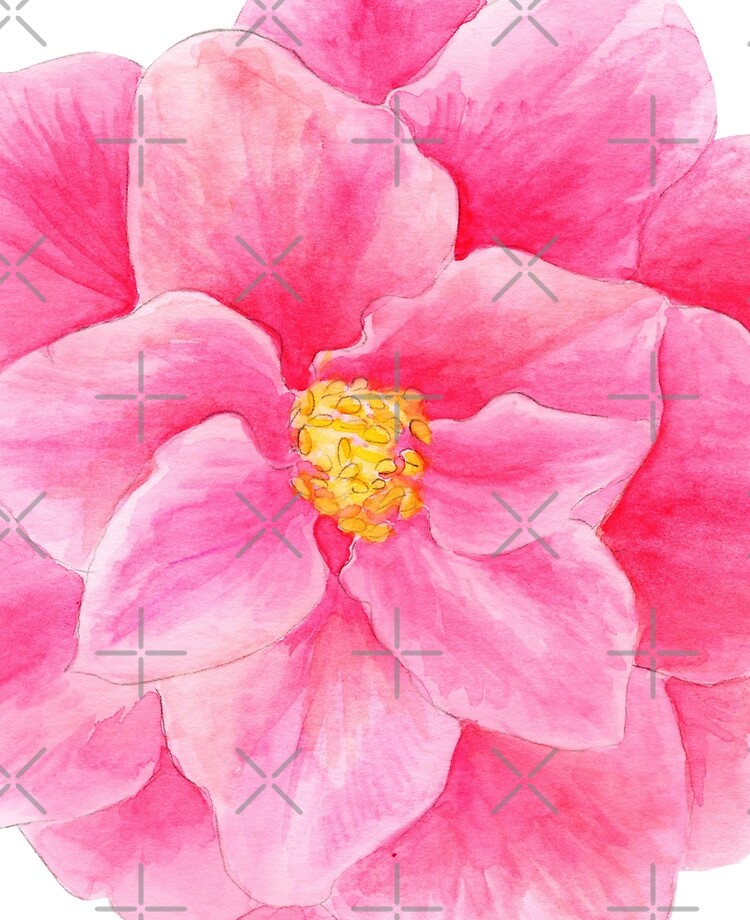 Funda y vinilo para iPad «Camelia rosa flor de acuarela» de sarahtrett |  Redbubble