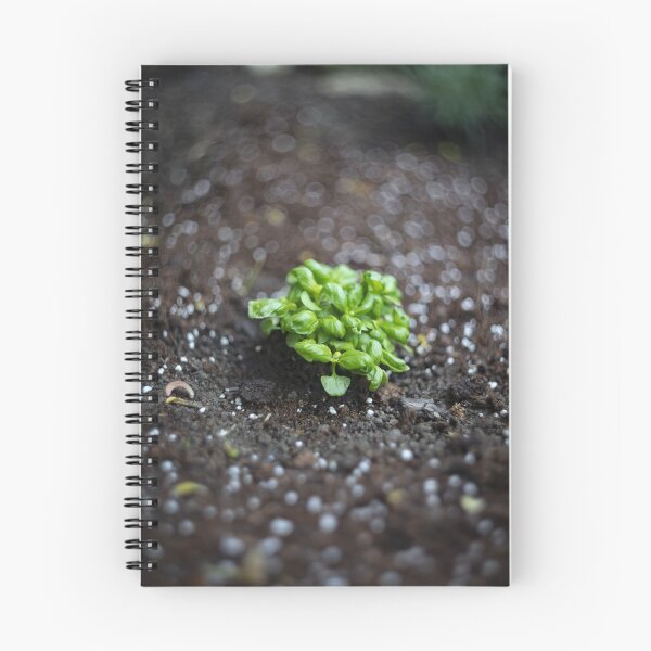 Item preview, Basil designed and sold by jivkovb.