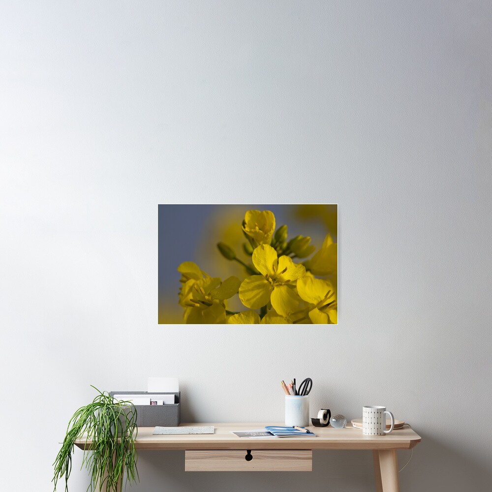 Item preview, Poster designed and sold by Ray001.