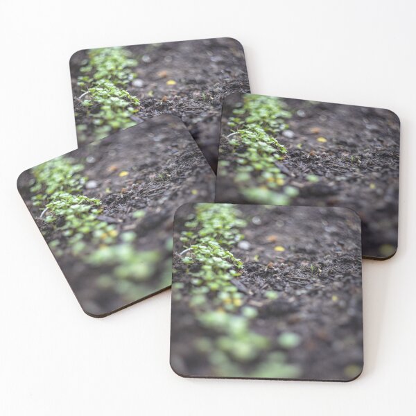 Item preview, Growing plants  designed and sold by jivkovb.