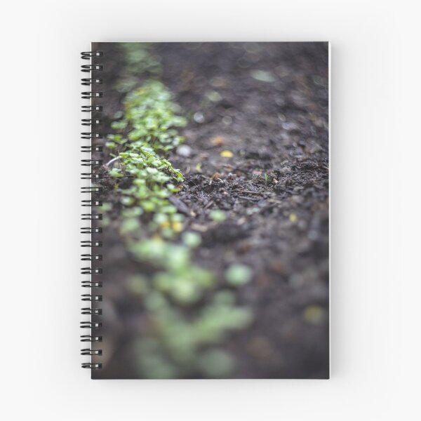 Item preview, Growing plants  designed and sold by jivkovb.