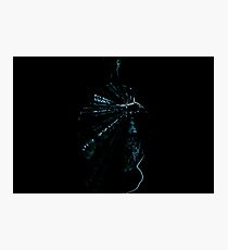 Enchanting Photographic Print