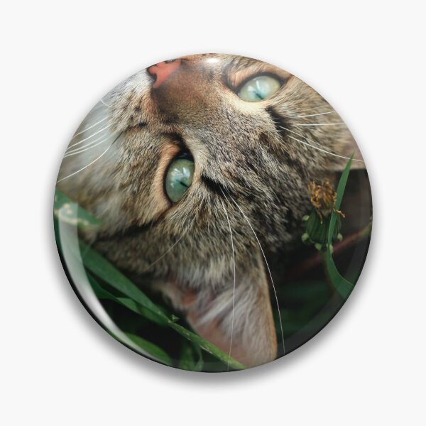 Item preview, Portrait of cute grey cat designed and sold by olena2552.