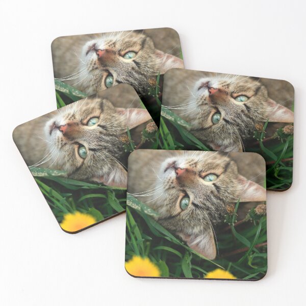 Item preview, Portrait of cute grey cat designed and sold by olena2552.