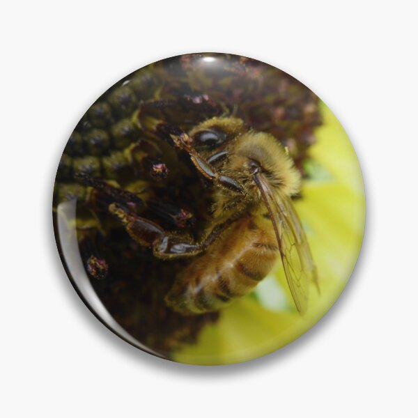 Bee on a Sunflower Pin