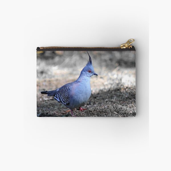 Item preview,  © Crested pigeon...little steps...    designed and sold by GeoPipics.