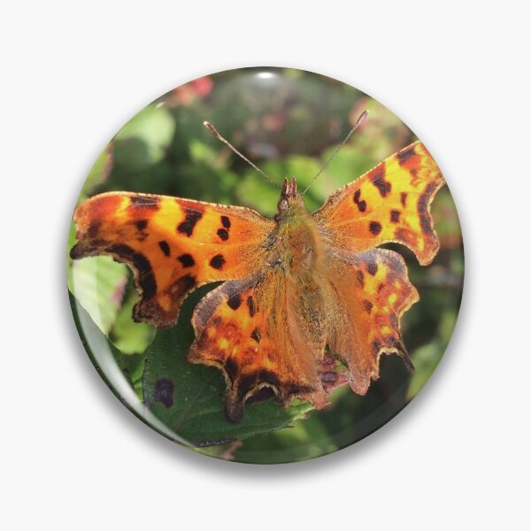 Moth/Butterfly in the Wild Pin