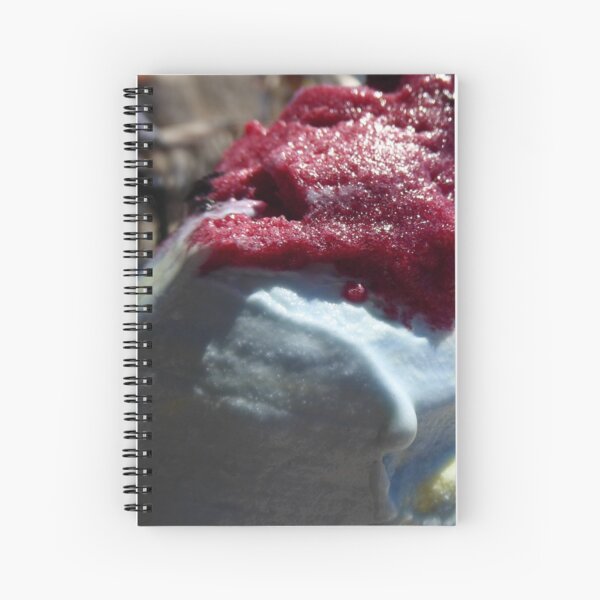 Bubblegum Ice Cream and Raspberry Sorbet Spiral Notebook
