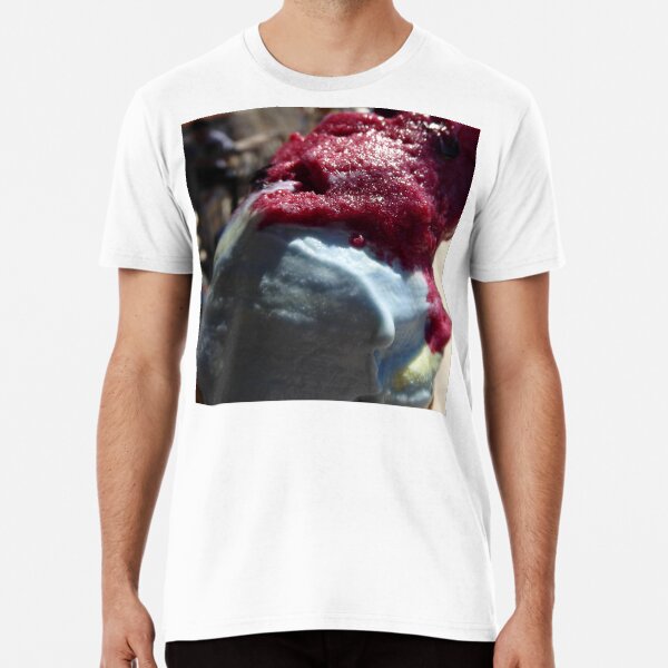 Bubblegum Ice Cream and Raspberry Sorbet Premium T-Shirt