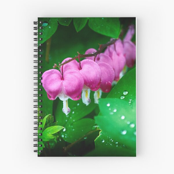 Item preview, Bleeding Hearts designed and sold by Lawrence Hutchinson.