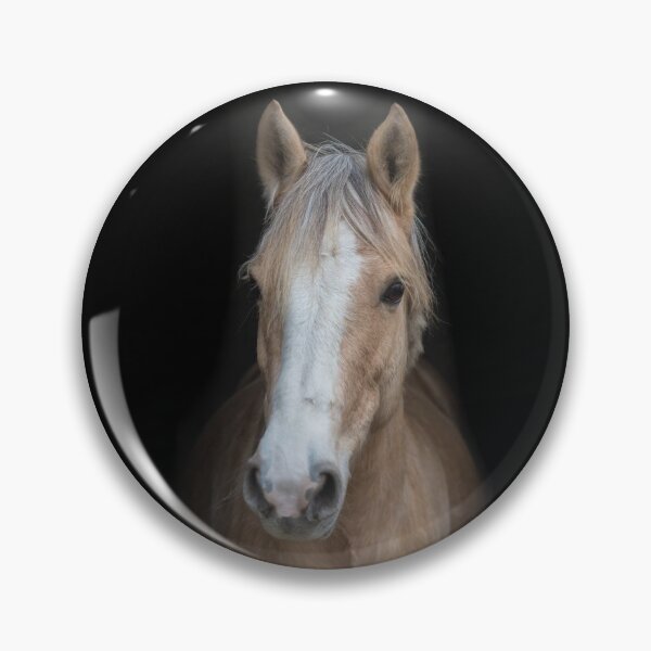 Item preview, Beautiful horse designed and sold by KNBS.