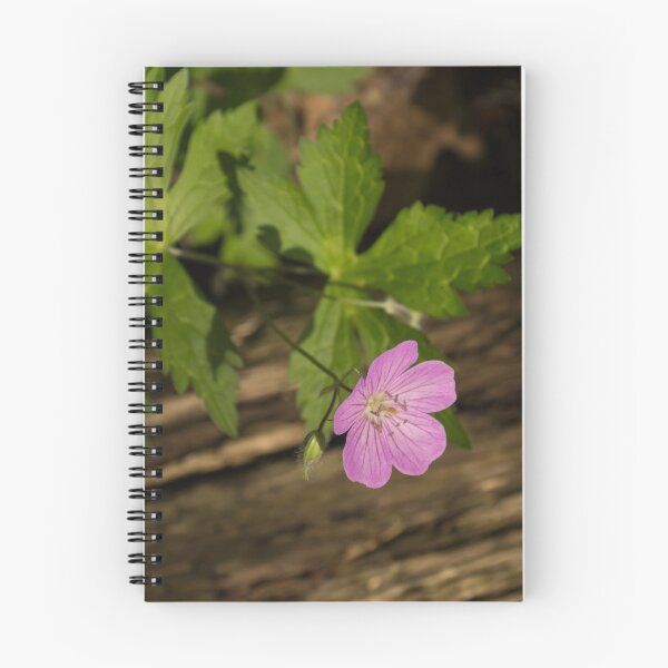 Item preview, Fragrant Forest Floor Treasure - One Wood Geranium Bloom designed and sold by Georgia Mizuleva.