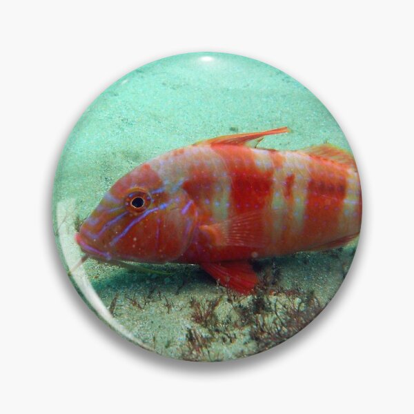 Item preview, Goat fish. designed and sold by Mickpew.