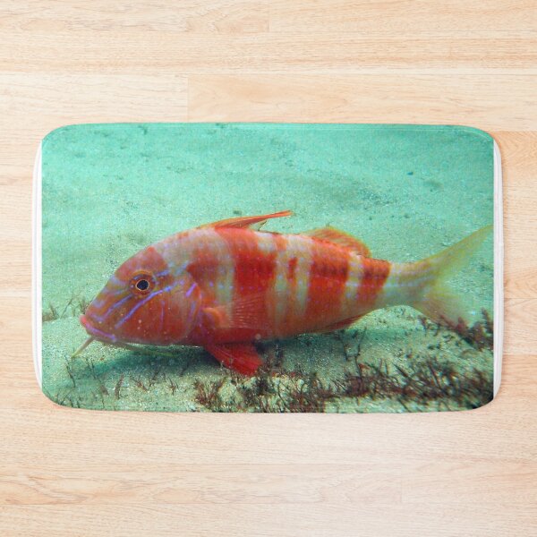 Item preview, Goat fish. designed and sold by Mickpew.
