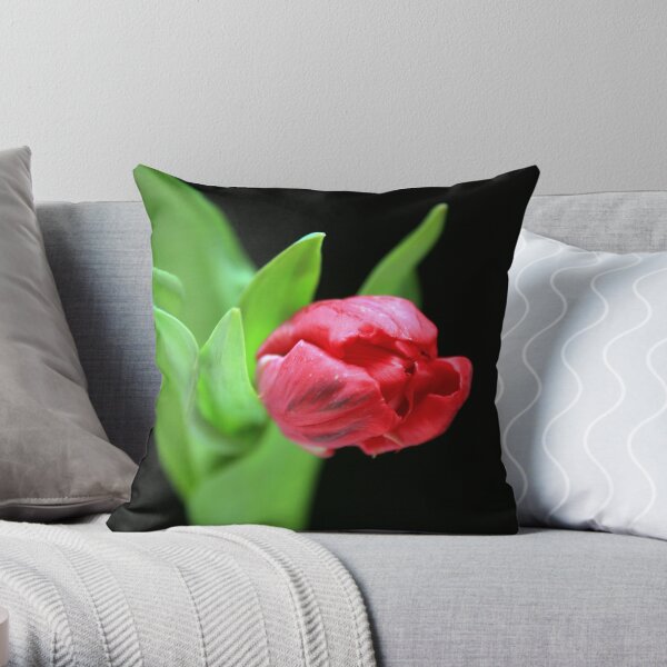 www.lizgarnett.com - Tulip 1 Throw Pillow