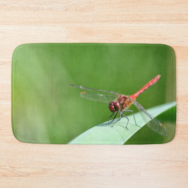 Item preview, A brief rest - Dragonfly designed and sold by Jellycandy.