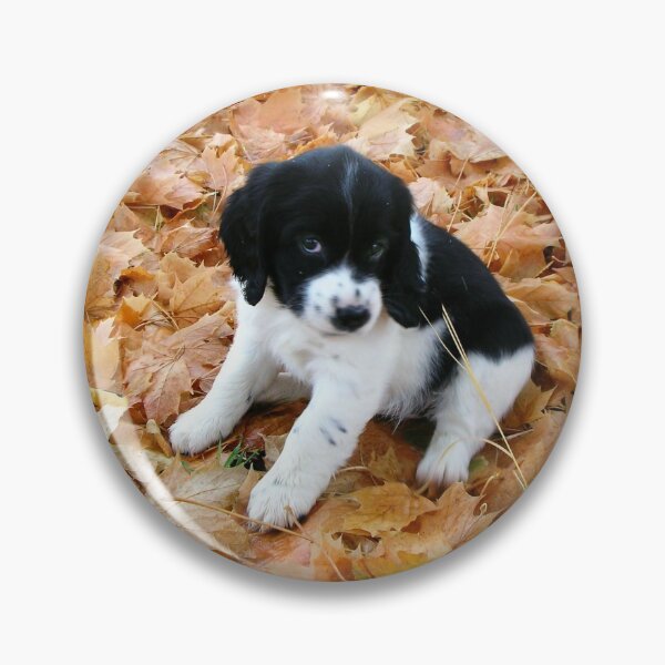 Item preview, Puppy in Autumn designed and sold by aura2000.