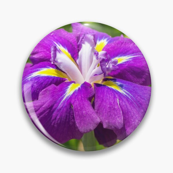 Item preview, Electric Purple Jewel - Japanese Iris Abloom designed and sold by Georgia Mizuleva.