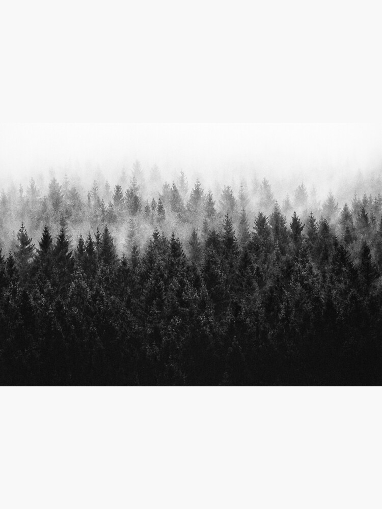 High And Low by tekay